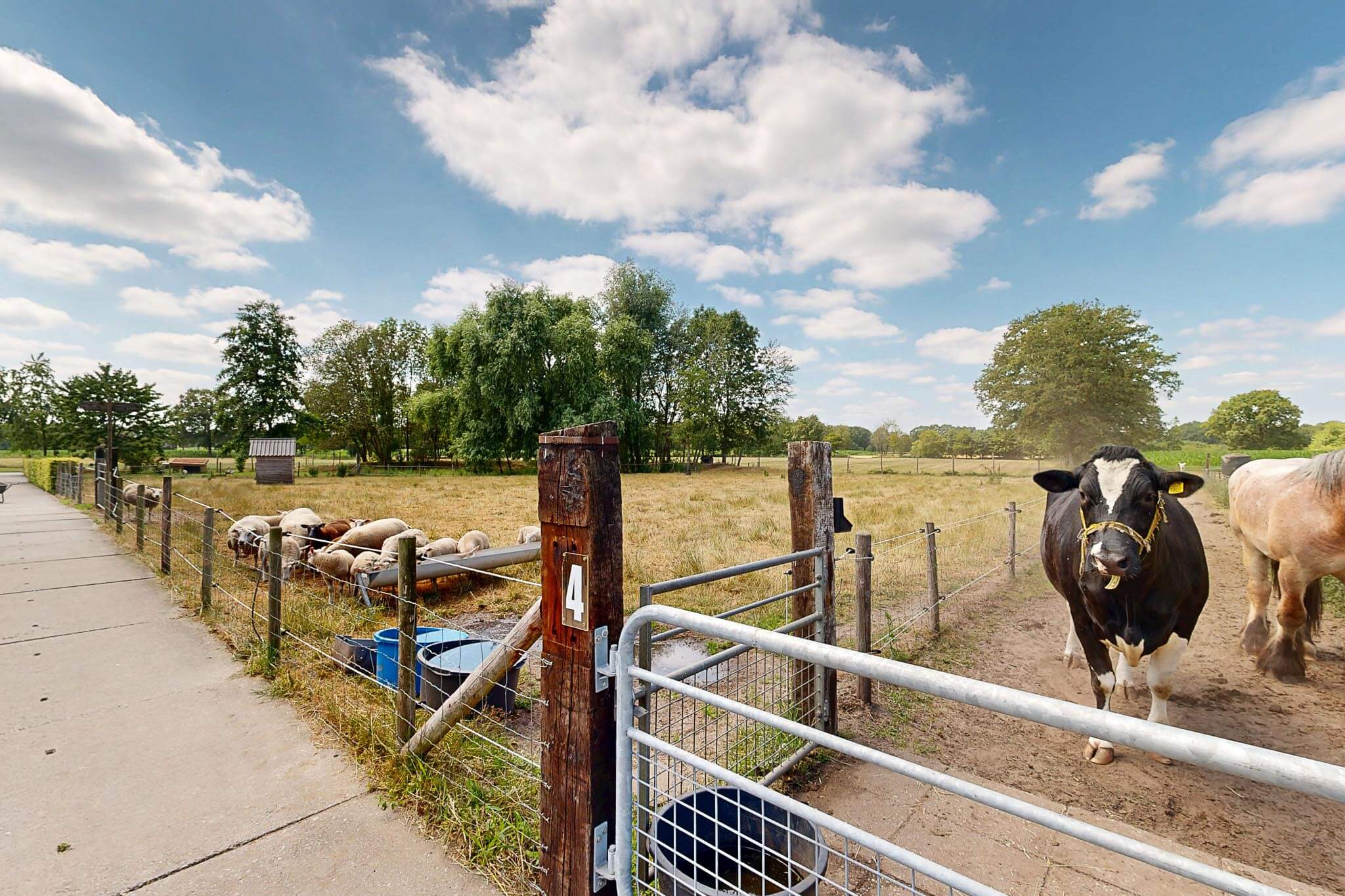 Stichting-Zorgboerderij-Chaamdijk-chaam-15