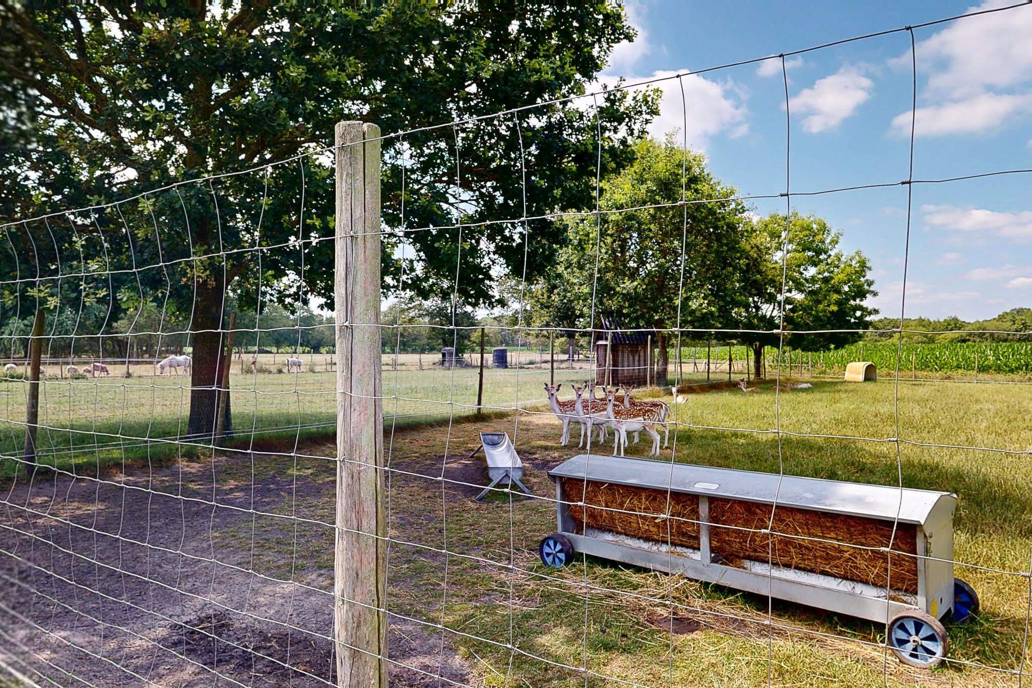 Stichting-Zorgboerderij-Chaamdijk-chaam-18