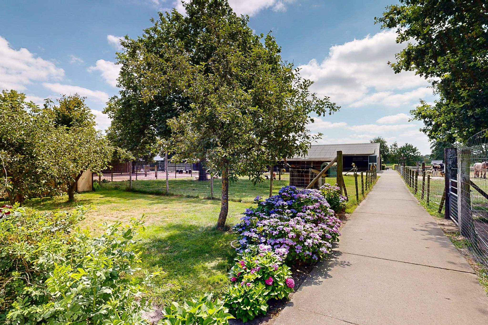 Stichting-Zorgboerderij-Chaamdijk-chaam-20